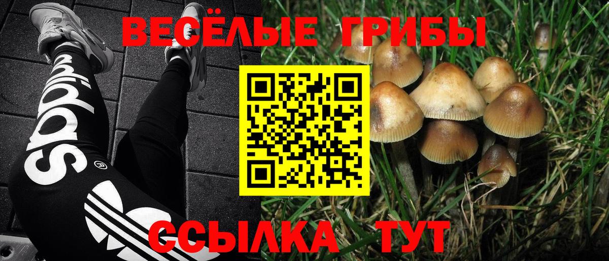 Псилоцибиновые грибы Psilocybine cubensis Белебей