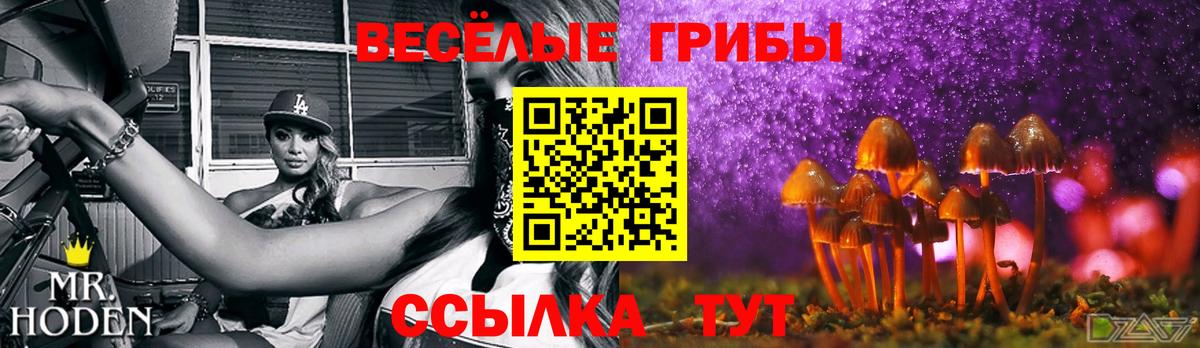 дарнет шоп  Галлюциногенные грибы Cubensis  Вход с VPN  Белебей  Псилоцибиновые грибы прущие грибы 